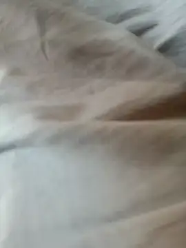 jayjay198080 online show from 2, 2, 2026