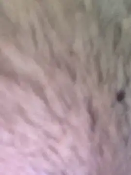 TOPMOON001 online show from 7, 3, 2025