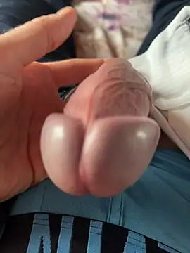 willy75 online show from 29, 1, 2025