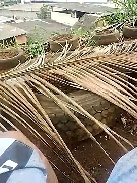 Snapshot of safado0027 chatting on 15, 10, 2025 safado0027 online show from 15, 10, 2025