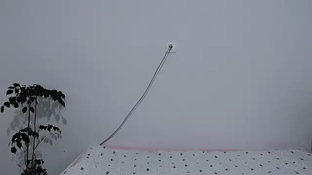                     88 online show from 3, 2, 2026