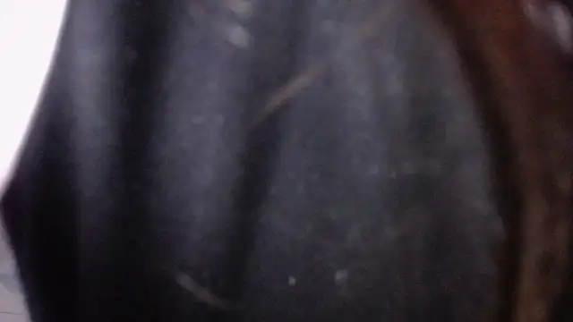 Snapshot of Sarita_v_ chatting on 6, 2, 2025 Sarita v online show from 6, 2, 2025