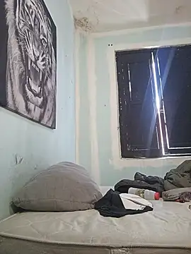 dany hardy online show from 22, 2, 2026