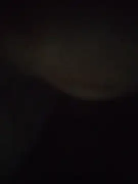 gawwalibhabhi 24 online show from 1, 12, 2025