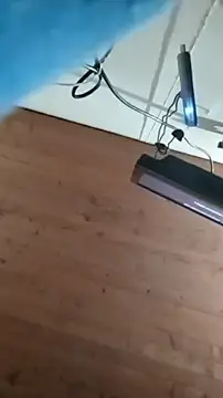 nxus77 online show from 17, 1, 2026