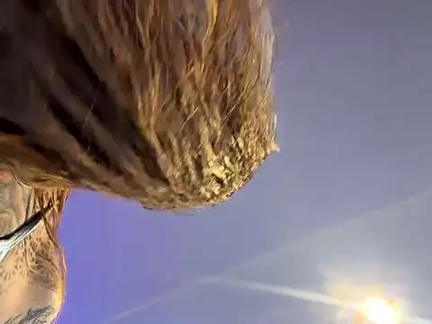 Black sweet Rose online show from 20, 3, 2026