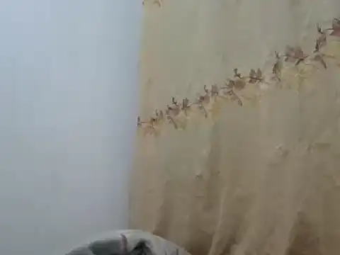 Sr JakoXXXX online show from 20, 2, 2025