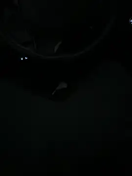 Snapshot of DutchPublic chatting on 19, 1, 2025 DutchPublic online show from 19, 1, 2025