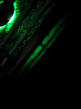 Snapshot of alejo5288 chatting on 5, 10, 2025 alejo5288 online show from 5, 10, 2025