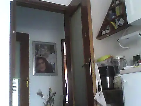 nelly88 xxx online show from 26, 6, 2026