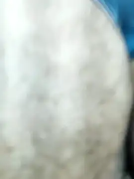 Snapshot of HGKNSS chatting on 10, 4, 2026 HGKNSS online show from 10, 4, 2026