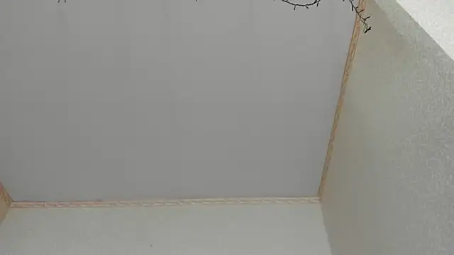 Snapshot of Browni_Kiss chatting on 16, 1, 2025 Browni Kiss online show from 16, 1, 2025