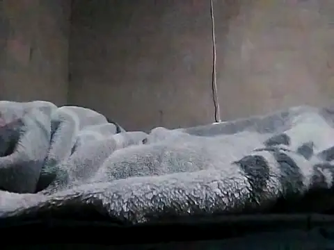 Snapshot of LaneYam chatting on 24, 3, 2026 LaneYam online show from 24, 3, 2026