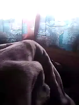 Snapshot of LaneYam chatting on 7, 7, 2026 LaneYam online show from 7, 7, 2026