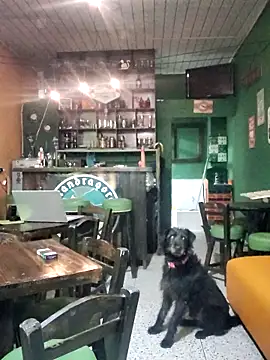 ilonna2025 online show from 15, 3, 2026