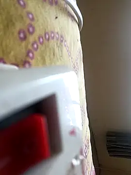 Royyy dandol online show from 17, 2, 2026