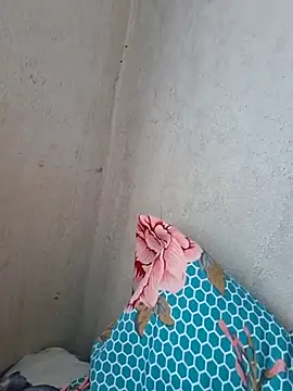 novinhatransexy online show from 3, 11, 2025