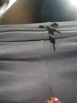 knightwolf9935 online show from 30, 1, 2025