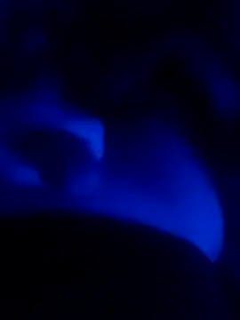 Snapshot of MAKAYALE7949 chatting on 16, 2, 2026 MAKAYALE7949 online show from 16, 2, 2026