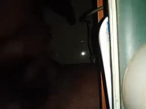 Snapshot of world_bigdick1 chatting on 14, 2, 2025 world bigdick1 online show from 14, 2, 2025