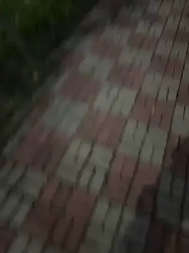 Phil 6677 online show from 12, 10, 2025