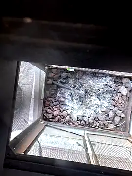 thickdaddy2982 online show from 8, 3, 2025