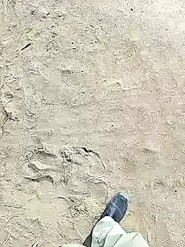 xmanrawan2 online show from 2, 2, 2025