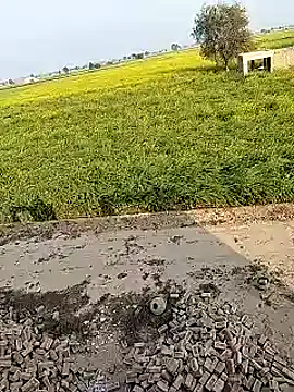 xmanrawan2 online show from 2, 2, 2025