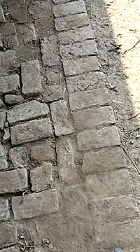 xmanrawan2 online show from 3, 2, 2025