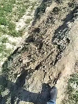 xmanrawan2 online show from 4, 2, 2025