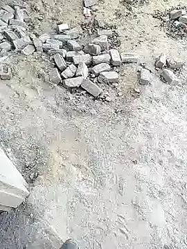 xmanrawan2 online show from 14, 2, 2025