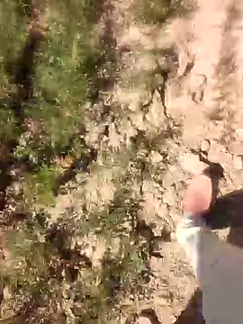 xmanrawan2 online show from 21, 2, 2025