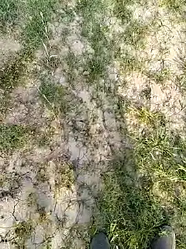 xmanrawan2 online show from 14, 3, 2025