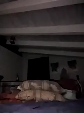 Snapshot of divinaerotica chatting on 2, 11, 2025 divinaerotica online show from 2, 11, 2025