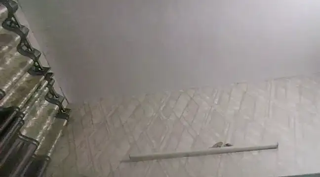 Snapshot of SeductiveStar chatting on 23, 2, 2025 SeductiveStar online show from 23, 2, 2025