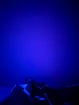 Dehtrans online show from 11, 3, 2026