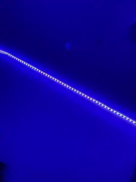 Snapshot of DaniJohnson chatting on 7, 2, 2025 DaniJohnson online show from 7, 2, 2025