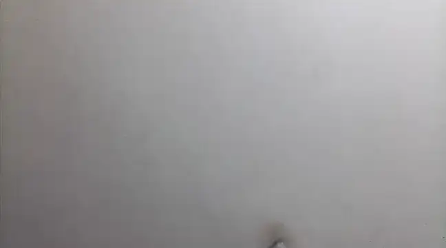 Snapshot of beatle666 chatting on 26, 2, 2025 beatle666 online show from 26, 2, 2025