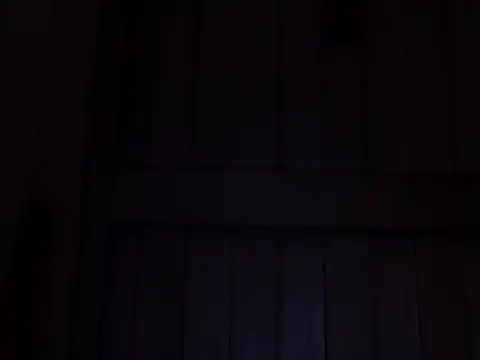 beatle666 online show from 7, 11, 2025