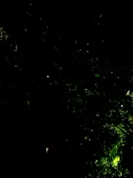 beatle666 online show from 19, 1, 2026