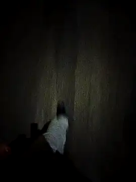 dominationmybigdick online show from 27, 10, 2025