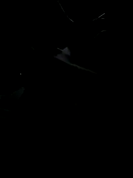 Snapshot of DarkRage18 chatting on 3, 10, 2025 DarkRage18 online show from 3, 10, 2025