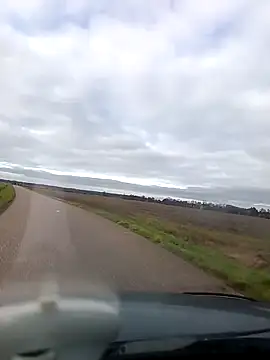 Dam70 online show from 1, 2, 2026