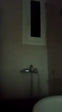 ginger 1 1 online show from 15, 2, 2025