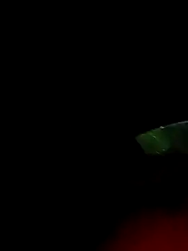 ginger 1 1 online show from 18, 3, 2025