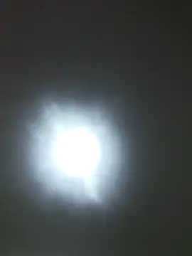 SARAI 523 online show from 14, 10, 2025