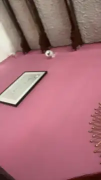 Valu euphoria online show from 28, 11, 2025