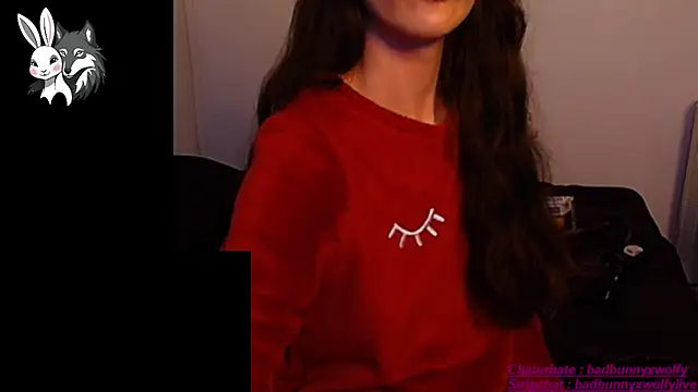 BadBunnyXWolfyLive online show from 4, 10, 2025