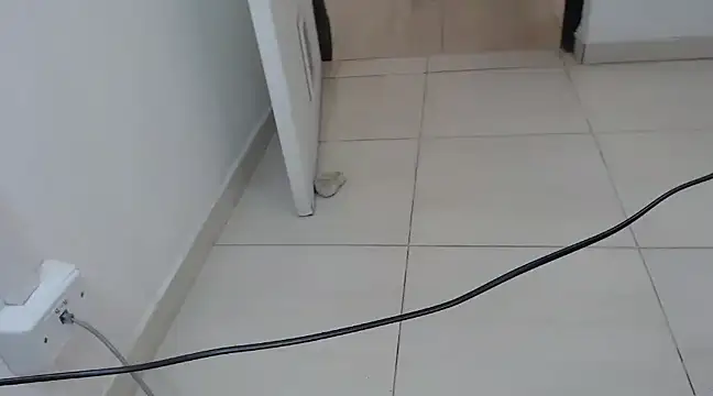 StormyWets Bluk online show from 11, 3, 2025