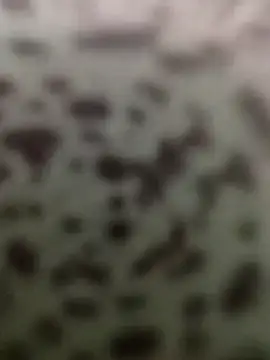 Snapshot of Yashkumar_0697 chatting on 13, 10, 2025 Yashkumar 0697 online show from 13, 10, 2025